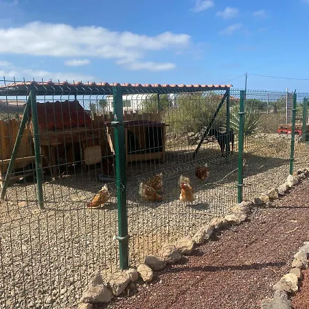 Mini Casa Arcoiris Tenerife אכסניה Guía de Isora